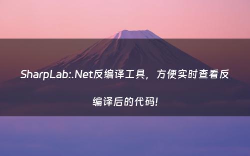 SharpLab:.Net反编译工具，方便实时查看反编译后的代码!