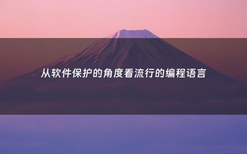 从软件保护的角度看流行的编程语言