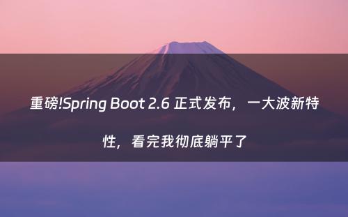 重磅!Spring Boot 2.6 正式发布，一大波新特性，看完我彻底躺平了