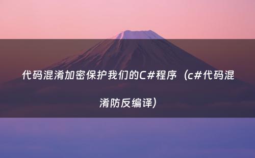 代码混淆加密保护我们的C#程序（c#代码混淆防反编译）