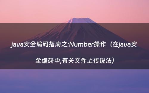 java安全编码指南之:Number操作（在java安全编码中,有关文件上传说法）