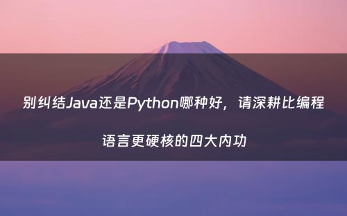 别纠结Java还是Python哪种好，请深耕比编程语言更硬核的四大内功