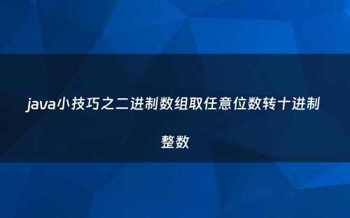 java小技巧之二进制数组取任意位数转十进制整数