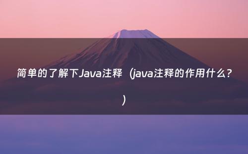简单的了解下Java注释（java注释的作用什么?）