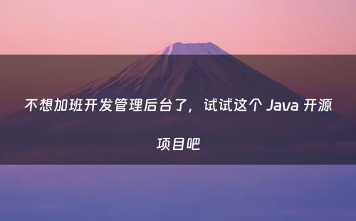 不想加班开发管理后台了，试试这个 Java 开源项目吧