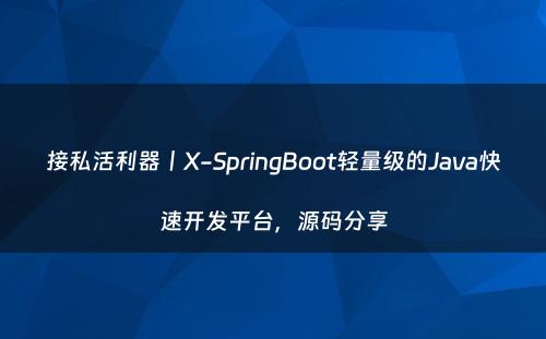 接私活利器丨X-SpringBoot轻量级的Java快速开发平台，源码分享