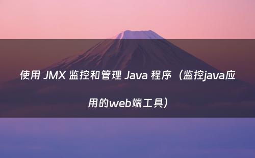 使用 JMX 监控和管理 Java 程序（监控java应用的web端工具）
