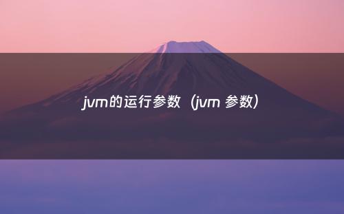 jvm的运行参数（jvm 参数）
