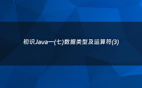 初识Java—(七)数据类型及运算符(3)