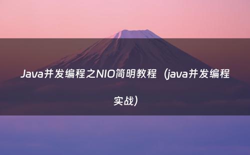 Java并发编程之NIO简明教程（java并发编程实战）