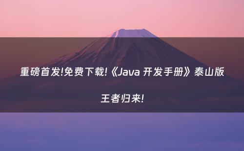 重磅首发!免费下载!《Java 开发手册》泰山版王者归来!