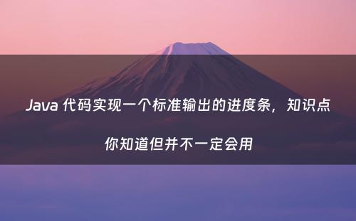 Java 代码实现一个标准输出的进度条，知识点你知道但并不一定会用