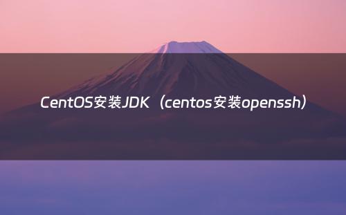 CentOS安装JDK（centos安装openssh）