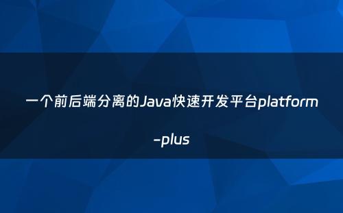 一个前后端分离的Java快速开发平台platform-plus