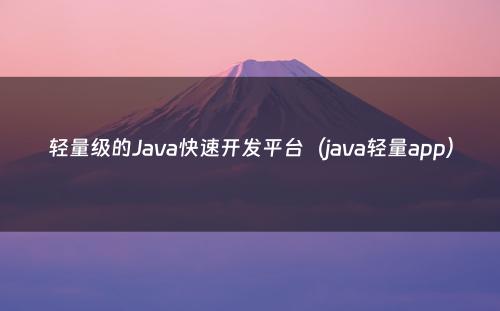 轻量级的Java快速开发平台（java轻量app）