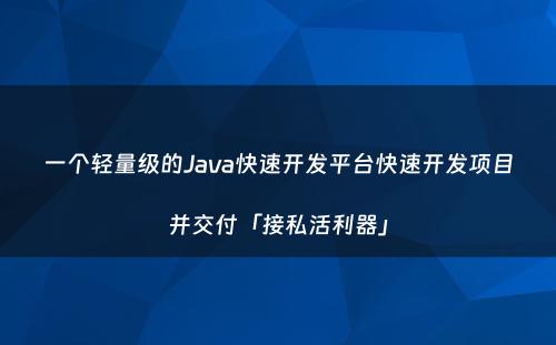 一个轻量级的Java快速开发平台快速开发项目并交付「接私活利器」