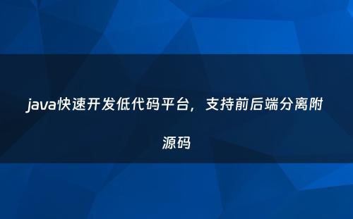 java快速开发低代码平台，支持前后端分离附源码
