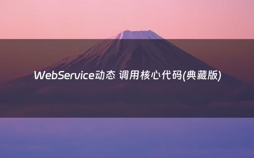 WebService动态 调用核心代码(典藏版)