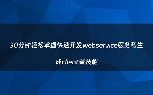 30分钟轻松掌握快速开发webservice服务和生成client端技能