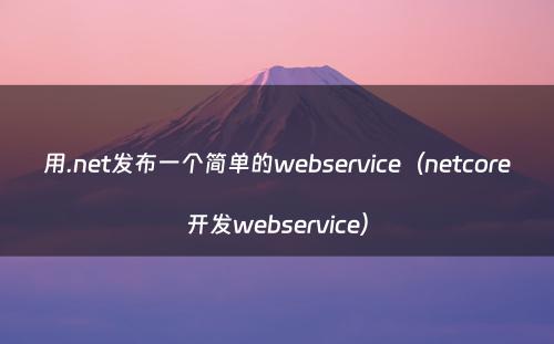 用.net发布一个简单的webservice（netcore开发webservice）