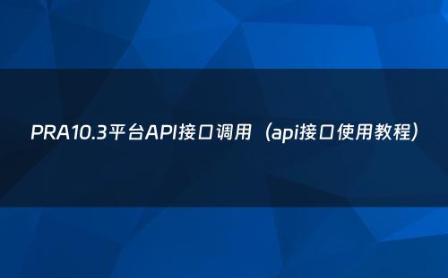 PRA10.3平台API接口调用（api接口使用教程）