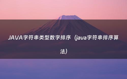 JAVA字符串类型数字排序（java字符串排序算法）