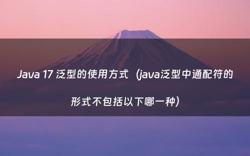 Java 17 泛型的使用方式（java泛型中通配符的形式不包括以下哪一种）