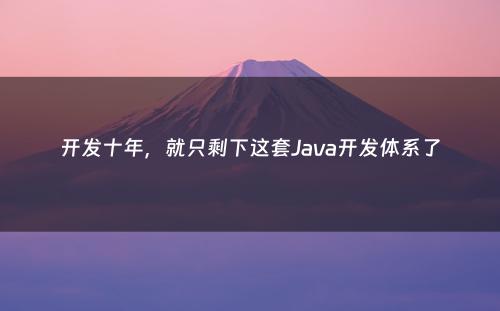 开发十年，就只剩下这套Java开发体系了