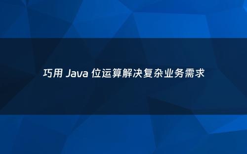 巧用 Java 位运算解决复杂业务需求