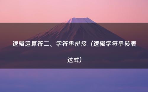 逻辑运算符二、字符串拼接（逻辑字符串转表达式）