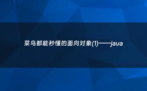 菜鸟都能秒懂的面向对象(1)——java