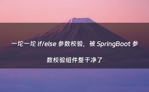 一坨一坨 if/else 参数校验，被 SpringBoot 参数校验组件整干净了