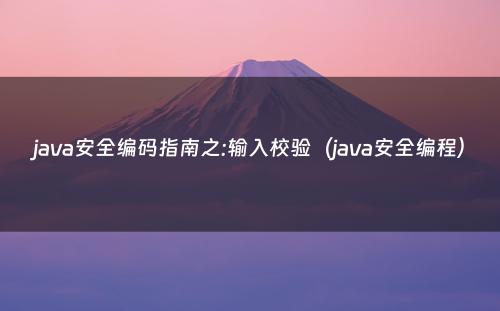 java安全编码指南之:输入校验（java安全编程）