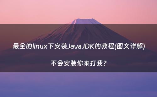 最全的linux下安装JavaJDK的教程(图文详解)不会安装你来打我?