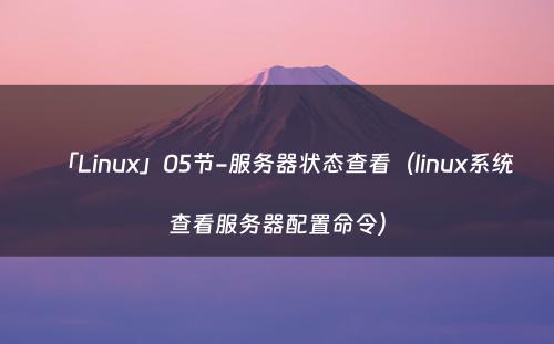 「Linux」05节-服务器状态查看（linux系统查看服务器配置命令）