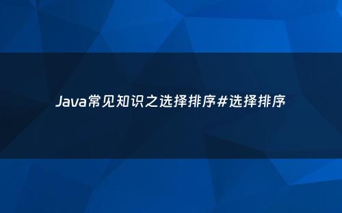 Java常见知识之选择排序#选择排序