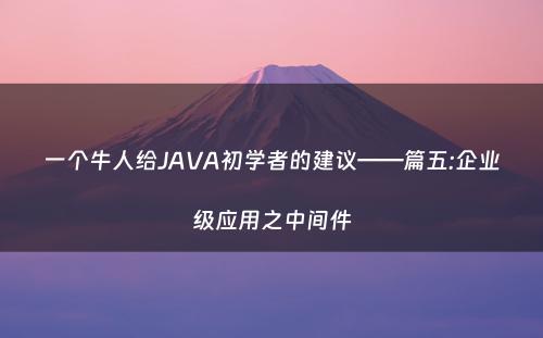 一个牛人给JAVA初学者的建议——篇五:企业级应用之中间件