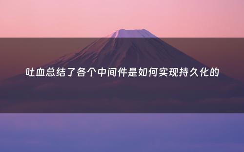 吐血总结了各个中间件是如何实现持久化的