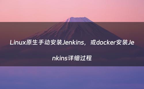 Linux原生手动安装Jenkins，或docker安装Jenkins详细过程