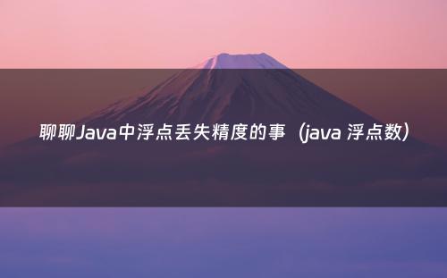 聊聊Java中浮点丢失精度的事（java 浮点数）