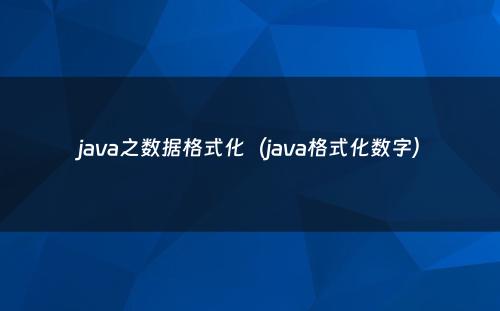 java之数据格式化（java格式化数字）