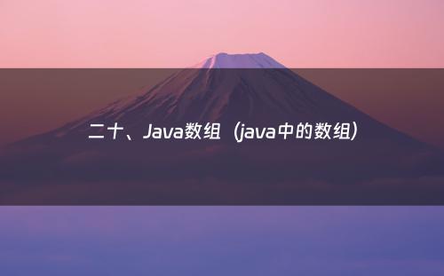 二十、Java数组（java中的数组）
