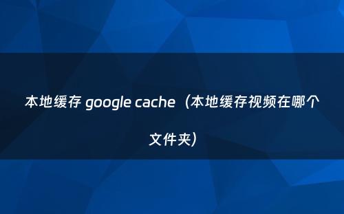 本地缓存 google cache(本地缓存视频在哪个文件夹)