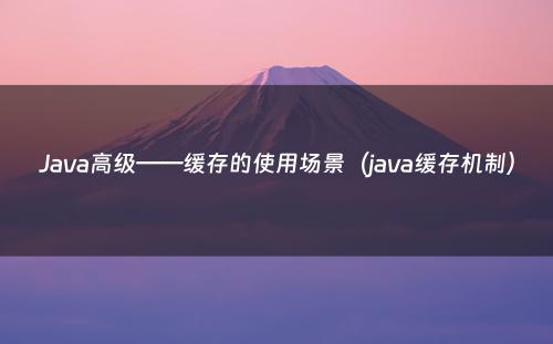 Java高级——缓存的使用场景（java缓存机制）