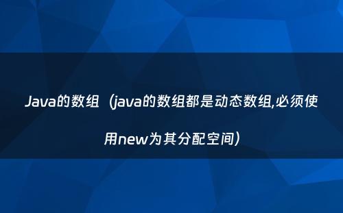 Java的数组（java的数组都是动态数组,必须使用new为其分配空间）
