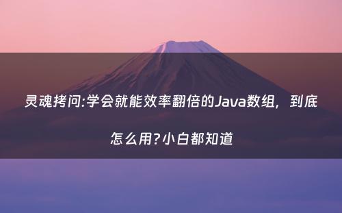 灵魂拷问:学会就能效率翻倍的Java数组，到底怎么用?小白都知道