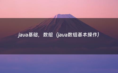java基础，数组（java数组基本操作）