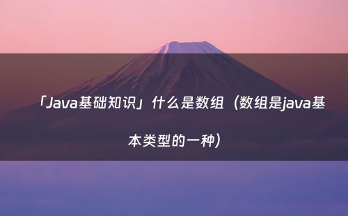 「Java基础知识」什么是数组（数组是java基本类型的一种）