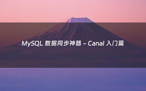 MySQL 数据同步神器 - Canal 入门篇