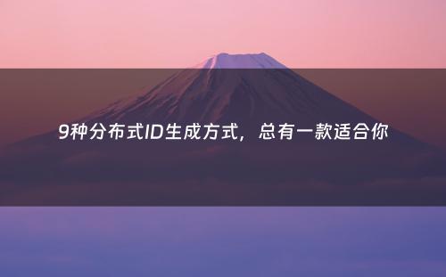 9种分布式ID生成方式，总有一款适合你